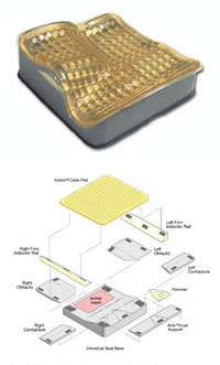 Action Individual Cushion